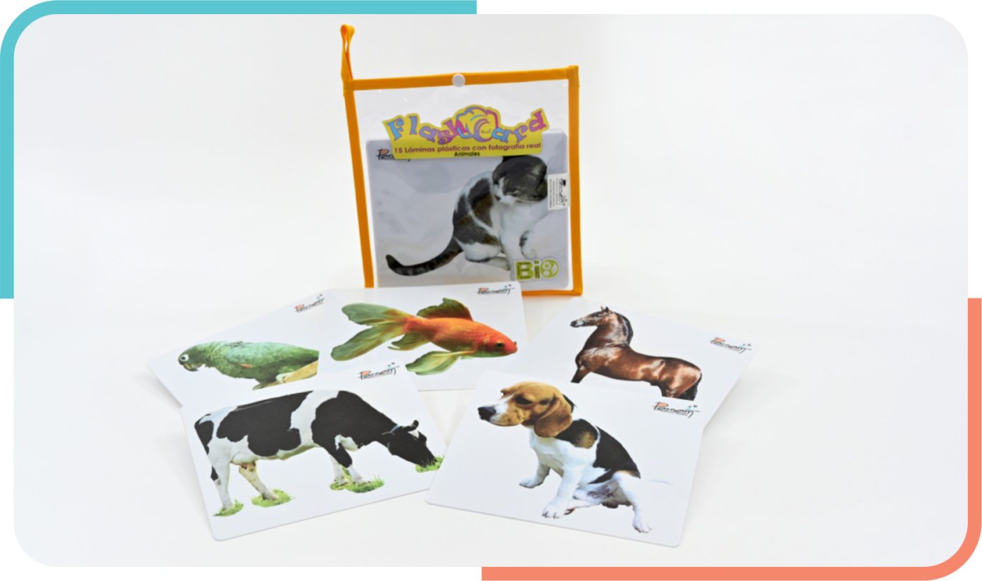 Flash Card Fotografía Real Animales Domésticos