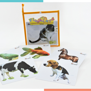 Flash Card Fotografía Real Animales Domésticos