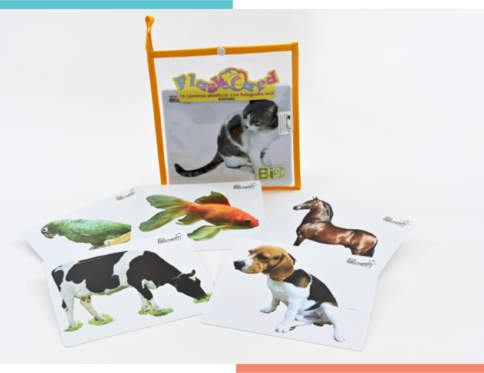 Flash Card Fotografía Real Animales Domésticos