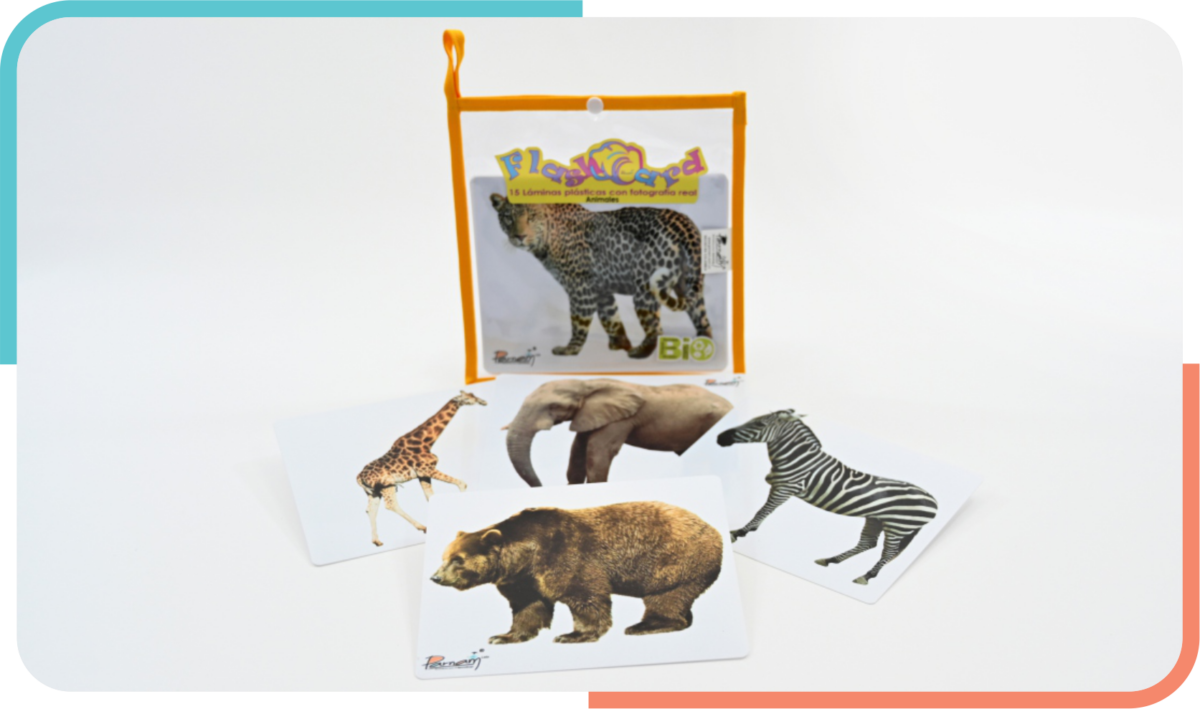 Flash Card Fotografía Real Animales Salvajes