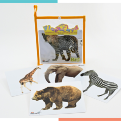 Flash Card Fotografía Real Animales Salvajes