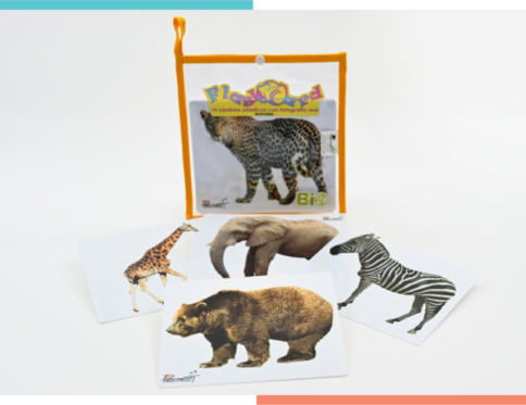 Flash Card Fotografía Real Animales Salvajes