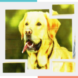 Duo Puzzles x 18 piezas