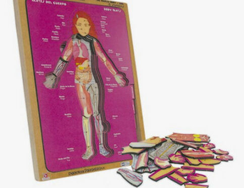 Rompecabezas corporal 8 sistemas – niña