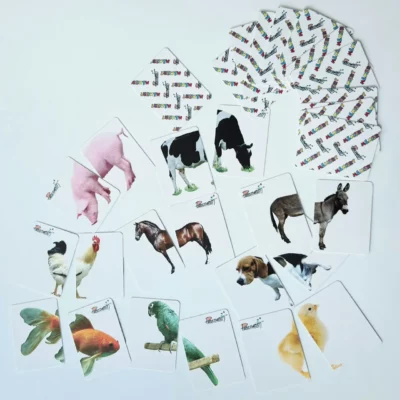 Memory mitades Fotografia Real (animales)