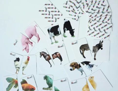 Memory mitades Fotografia Real (animales)